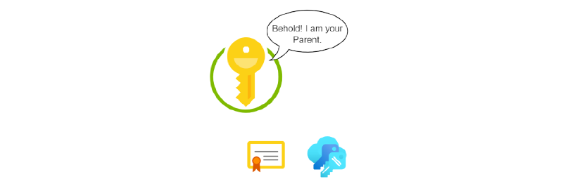 Featured image of post AVM module interfaces & their children